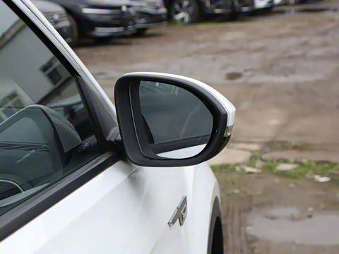 2025�� 300TSI DSG���������