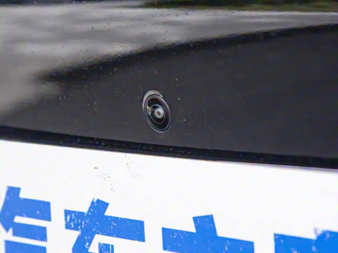 2025�� 550��ѡ��