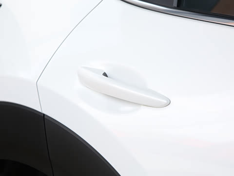 2024�� 2.0L �Զ�������