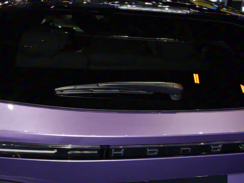 2025�� ����������Max