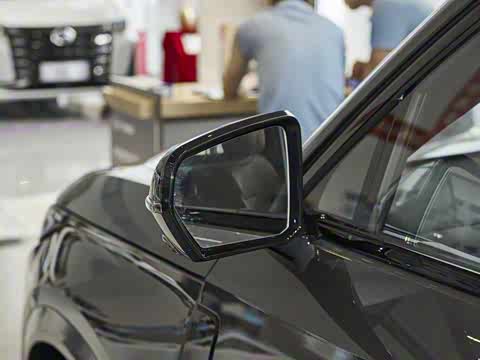 2025�� 115km Pro��