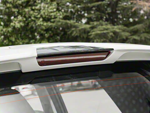 2025�� 305km ������