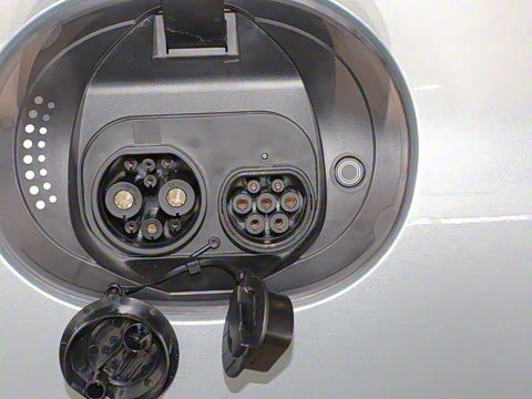 2024�� ˫�������������