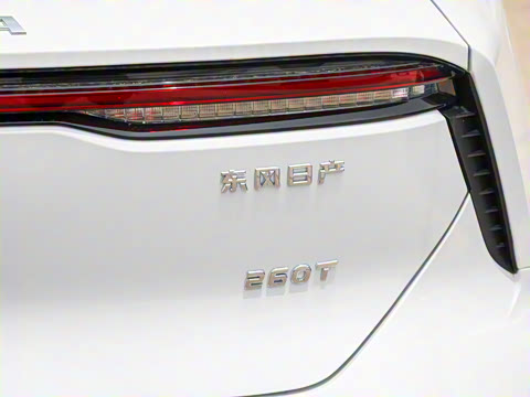 2026�� 260T ������ Pro