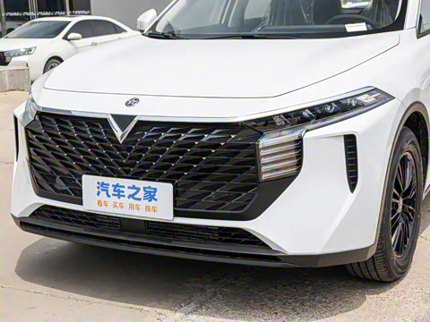 2026�� 260T ������ Pro