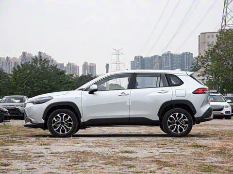 2024�� 2.0L ���ܵ��˫�� ������