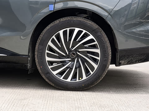 2025�� ���� 265 Max��������������ʻ