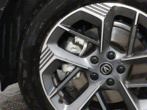 2025�� ���Ĵ� 1.5T ������ �ǻ��콢��