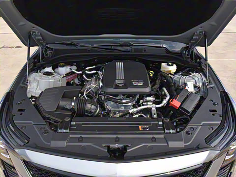 2025�� 28T �������ܰ�