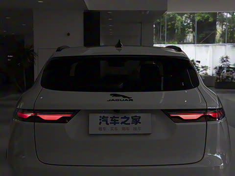 2025�� P250 R-Dynamic SE