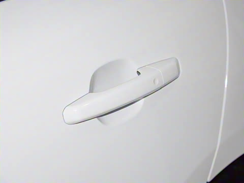 2025�� P250 R-Dynamic SE