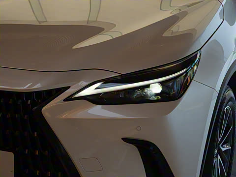 2024�� 260 ǰ�� ���ð�