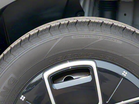 2025�� 330��ҫ��