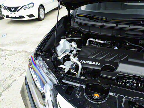 2025�� ���� 2.0L �������Ȱ�