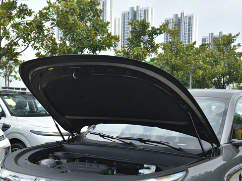 2025�� 145������