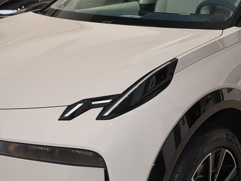 2025�� ��������ħ����