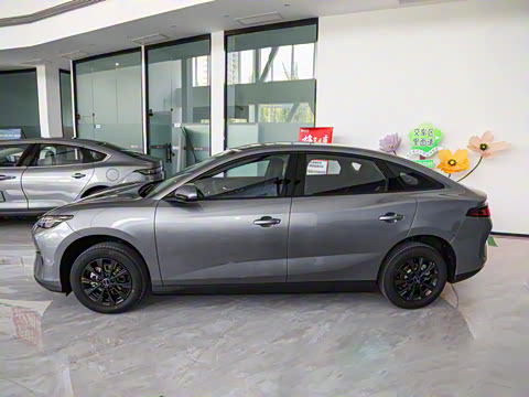 2025�� 520�ǻݰ�