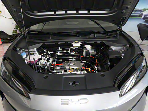 2025�� 520�ǻݰ�