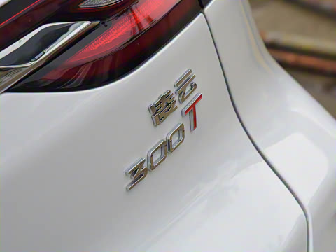 2025�� 300T ������ҫ��