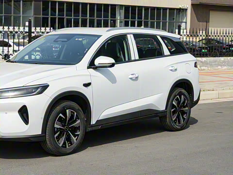 2025�� DM-i �Ǽݰ� 75KM������