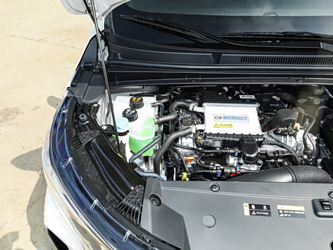 2025�� MAX 270T WDCT ������