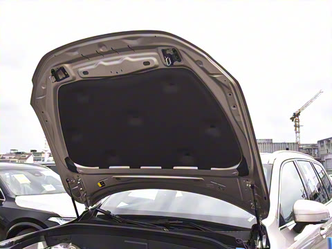 2025�� �Ŀ� B6 ��Զ������ 6��