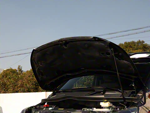 2025�� 2.0T ����������