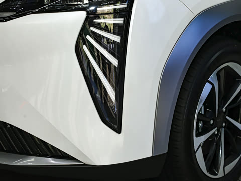 2024�� Younger ��ҫ��