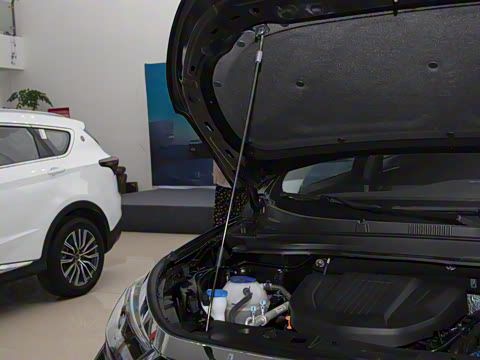 2024�� 1.6TD DCT���ͥ���ְ� 7��