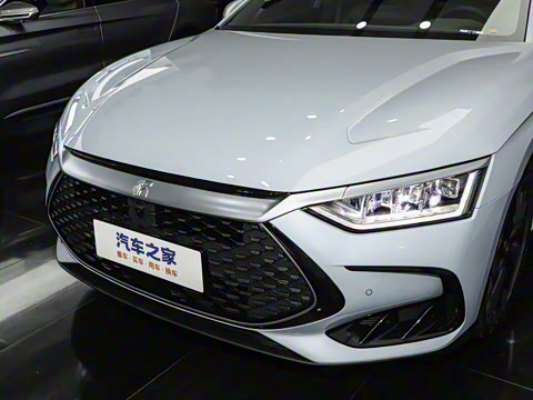 2024�� DM-i ��ҫ�� 121KM �����