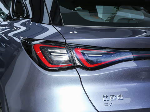 2025�� 505����Plus��