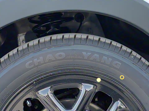 2025�� 310������