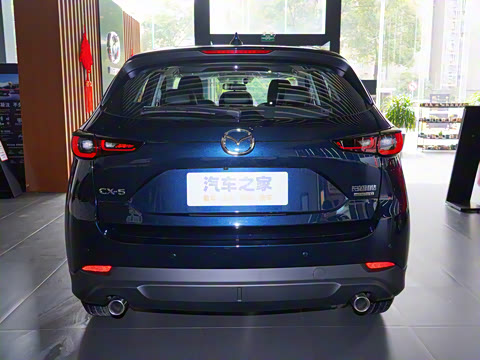 2024�� 2.0L �Զ�����������