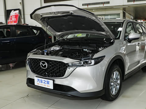 2024�� 2.0L �Զ�����������