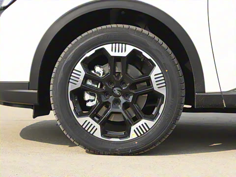 2025�� ������