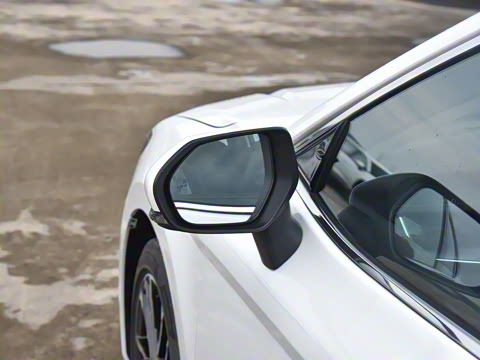 2024�� ˫�� 2.5HG ����