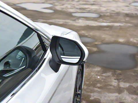 2024�� ˫�� 2.5HG ����