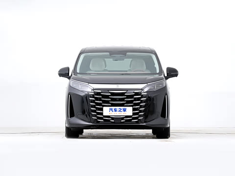 2025 DM-i 1.5T 180km ׿Խ