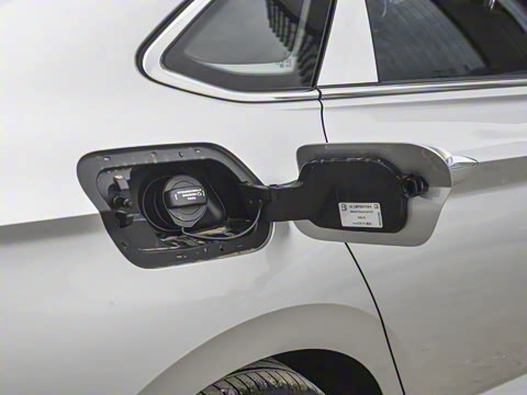 2025�� �Ŀ�� 300TSI DSG��Խ��