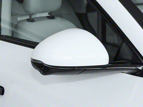 2025�� ����������������