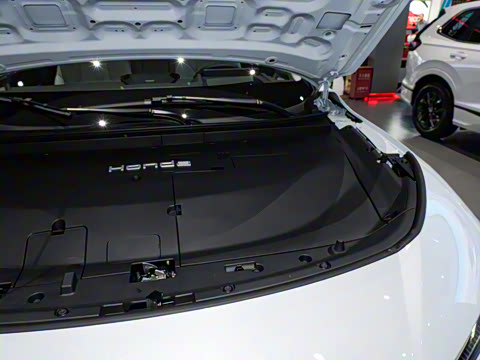 2025�� ����������Pro