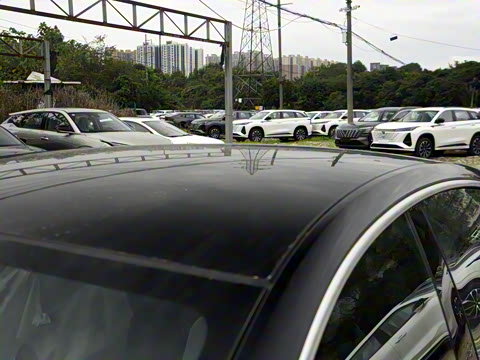 2025�� ���� ����� 230 ������