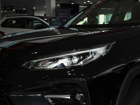 2024�� ˫�� 2.5L E-CVT��������