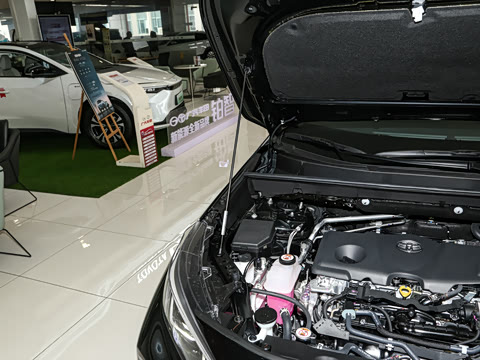 2024�� ˫�� 2.5L E-CVT��������