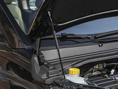 2025�� 2.0L �ֶ���������� 7��