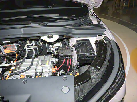 2025�� 565km ������