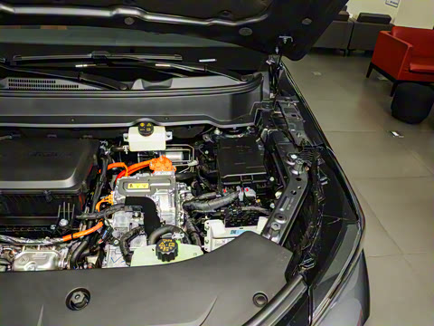 2026�� 165km ������������Max 5��