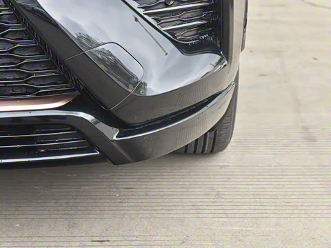 2024�� ˫�� 2.5L E-CVT��������PLUS��