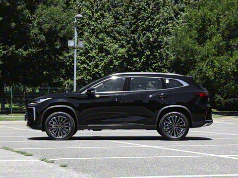 2025�� 300T ������ҫ��