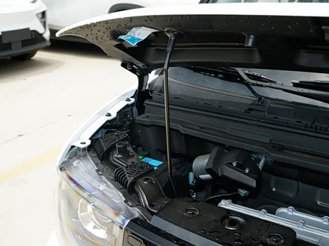 2025�� 205km Ԫ����